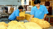 Cao su tự nhiên